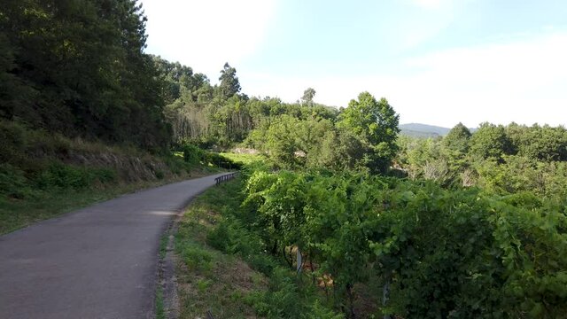 Point of view shot of riding a bicycle at Amarante Cycling Trail in Portugal. Features a wide view of the bike track and the natural scenery as it travels.