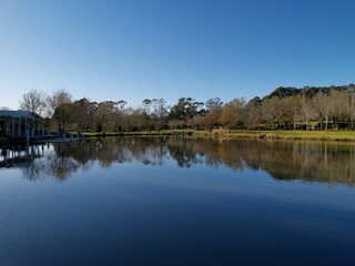Fototapeta premium Beautiful morning view of a peaceful pond in a park with reflections of deep blue sky and tall trees, Fagan park, Galston, Sydney, New South Wales, Australia