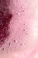 Chinese aster flowers frozen within a block of ice