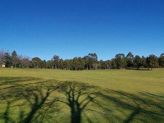 Beautiful morning view of a park with green grass, tall trees and deep blue sky, Fagan park, Galston, Sydney, New South Wales, Australia