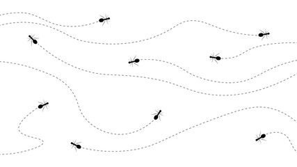 Insect Insects ant ants emmet pismire banner