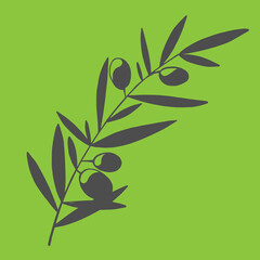 Vector graphic silhouettes of olive tree branches. Eps 8.