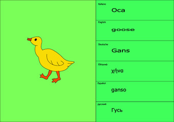 esempio di tovaglia tovagliolo placemate per bambini in multilingue anche come schede studio o raccolta collezione