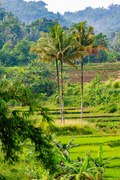 Bandung, Happy Vally