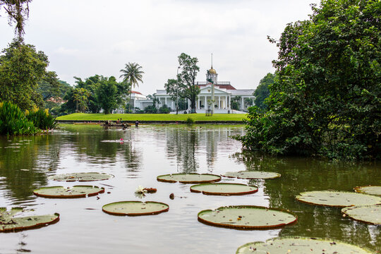 Botanical garden at Bandung