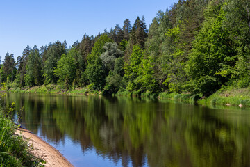 Fototapeta na wymiar Wild river with reflections