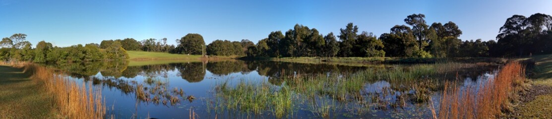 Beautiful morning panoramic view of a peaceful pond in a park with reflections of deep blue sky and tall trees, Fagan park, Galston, Sydney, New South Wales, Australia