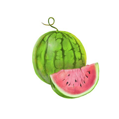 Realistic illustration of ripe red watermelon isolated on white background. Hand-drawn computer graphics. Create designs for food,  yoghurt, juice, nutritional supplements, banner ads.