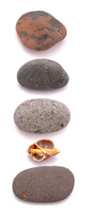 Fototapeta premium Pebbles and beach findings isolated on white background