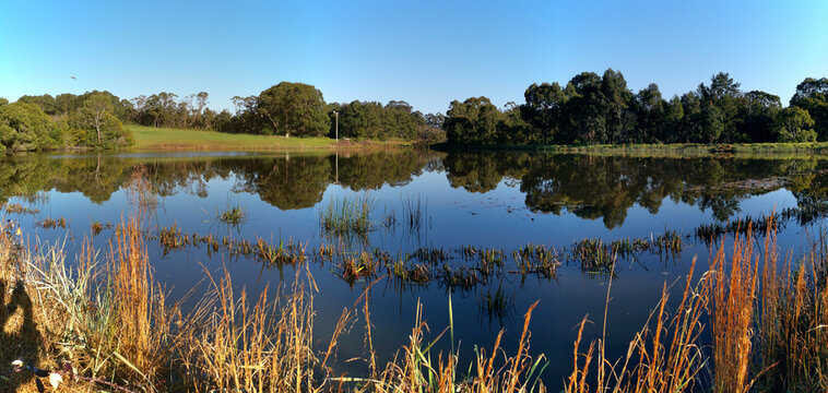 Fagan Bilder Durchsuchen 300 Archivfotos, und Videos