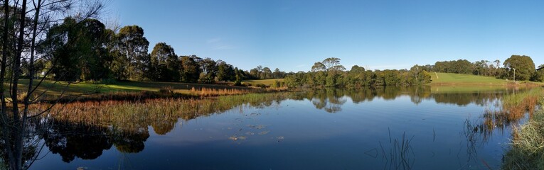 Beautiful morning panoramic view of a peaceful pond in a park with reflections of deep blue sky and tall trees, Fagan park, Galston, Sydney, New South Wales, Australia