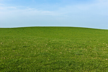 An empty green field with spring grass and clover on a sunny hillside backed by a hazy blue sky.