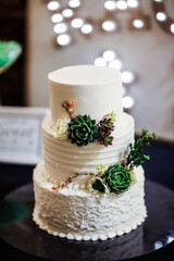 white tiered wedding cake with edible succulent flowers