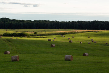 summer landscapes with clouds and fields