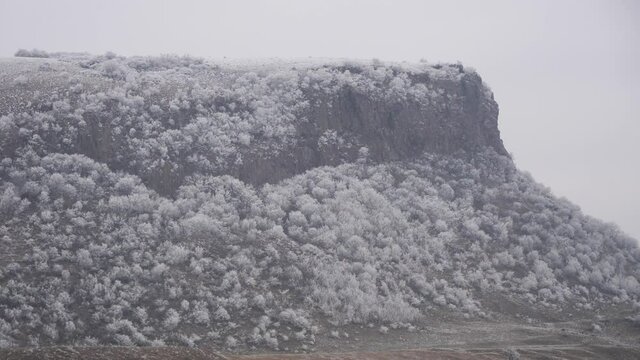 Uroi Hill Covered with Rime Ice,Simeria city, Romania