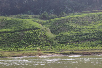 Beautiful scene of sangu river at Bandarban