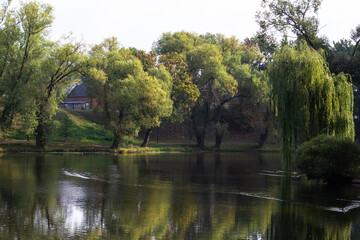 Fototapeta na wymiar Wild river with reflections