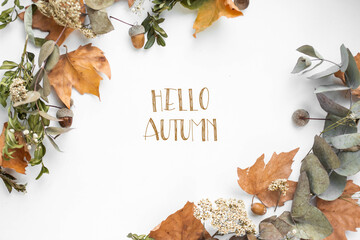 phrase hello autumn with fall leaves