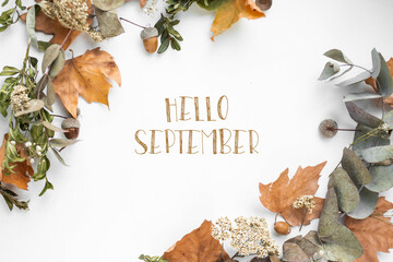phrase hello september with fall leaves - obrazy, fototapety, plakaty