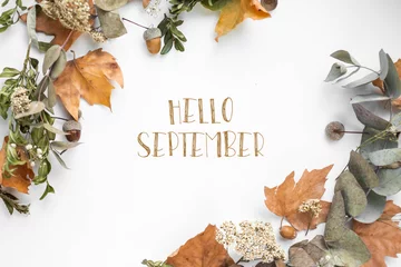 Fotobehang phrase hello september with fall leaves © arymer