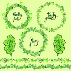Vector set of green leaves, frames and eco lettering