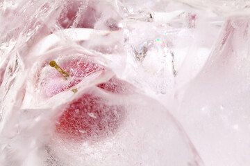 Fototapeta premium Small red plums frozen within a block of ice