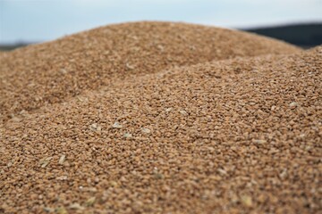 texture of sand