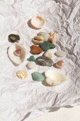 seashells, pearls, stones, colored glass on a white background