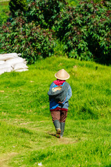 Dieng Plateau, Tengah, Java, Indonesia, asia