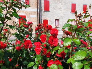 Fototapety na wymiar - Fototapeta24.pl