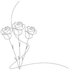 Roses flower on white background. Vector illustration