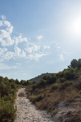 Vertical shot of a path surrounded by bushes on a mountain with a cloudy sky on a sunny summer day