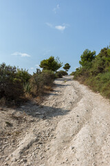 Vertical shot of a path surrounded by bushes on a mountain with a cloudy sky on a sunny summer day