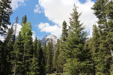 Mount Sneffels blue lake trail Ridgway Colorado