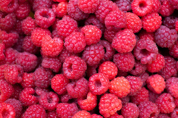  background texture ripe juicy berry raspberry closeup