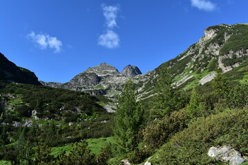 Obraz premium Nature