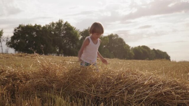 Children play with straw. Rest outside the city. Harvesting wheat in the field. Happy childhood.