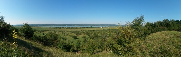summer landscape with agricultural field near the village on the lake