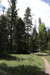 Mount Sneffels blue lake trail Ridgway Colorado