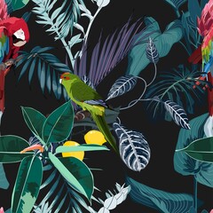 Tropical night vintage wild birds and parrots pattern, palm tree, palm leaves and plant floral seamless border black background. Exotic jungle wallpaper.