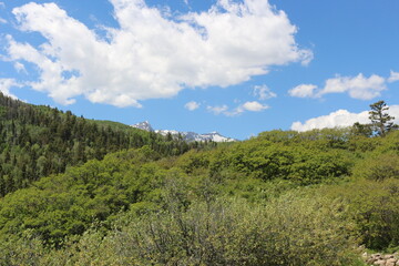 Fototapeta na wymiar Mount Sneffels blue lake trail Ridgway Colorado