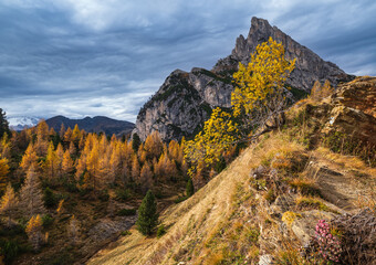 Colorful autumn alpine Dolomites rocky  mountain scene, Sudtirol, Italy. Peaceful view from Falzarego Path. Picturesque traveling, seasonal, nature and countryside beauty concept scene.