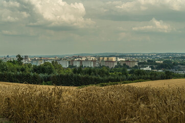 Panorama of Cracow with wheat field, Poland