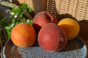 Fresh peaches and apricots on a plate