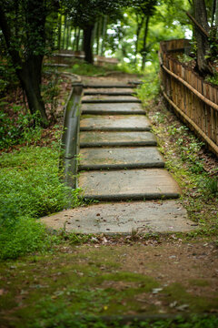 stairway in the forest © Iwao