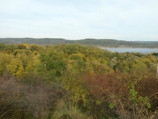 Fototapeta premium autumn landscape in the forest. bright sunbeams in vibrant colors