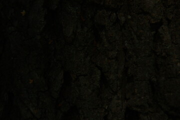 dark grunge background