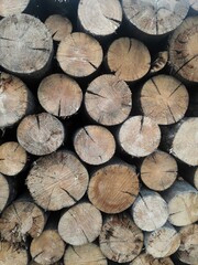 stack of firewood