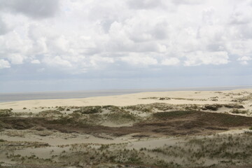 sand dunes on the beach