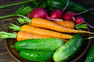 Summer harvest and fresh vegetables radish cucumber and carrot. Healthy food and diet concept